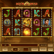 MrPacho - Book of Dead Slot Game